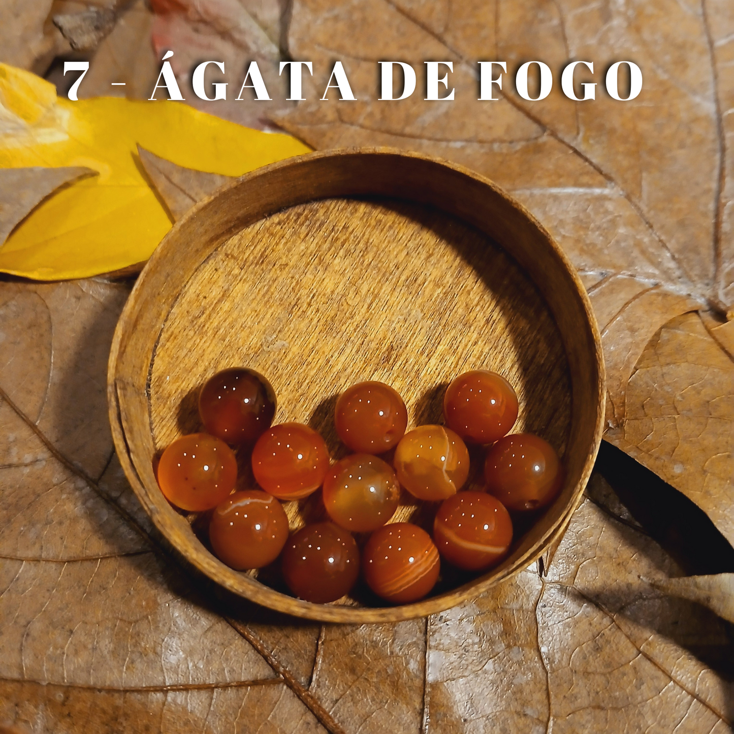 Anel "Basic" com Cristais Naturais